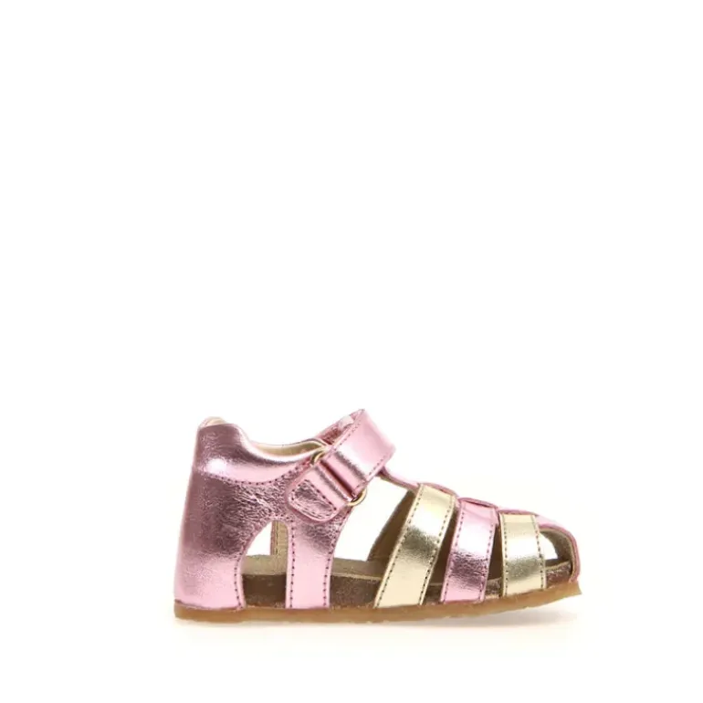Alby by Falcotto - Pink-Platinum