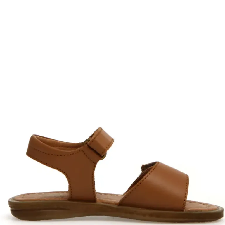 Aryli - Cognac