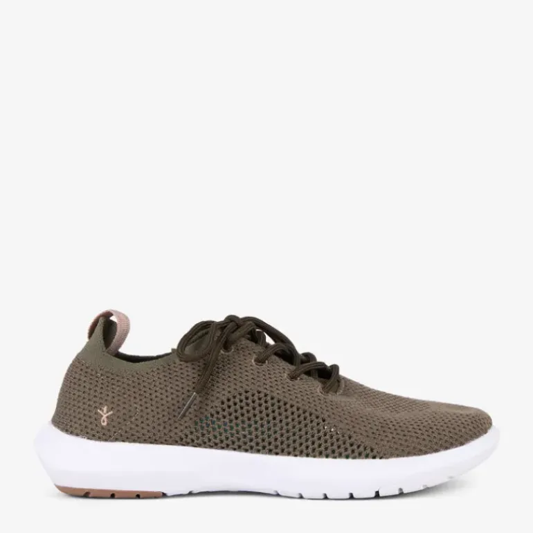 Springbrook - Dark Olive Wool